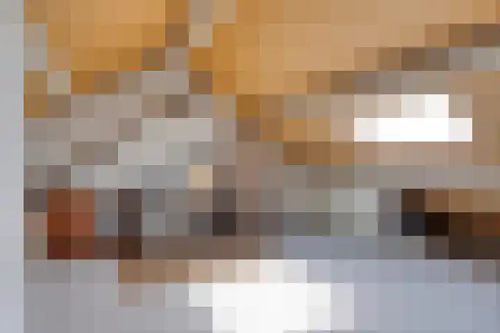 Salderes 61 Best thumbnail 23