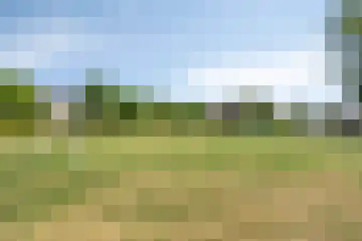 Salderes 61 Best thumbnail 28