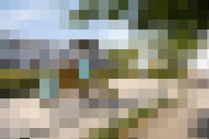 Salderes 61 Best thumbnail 29