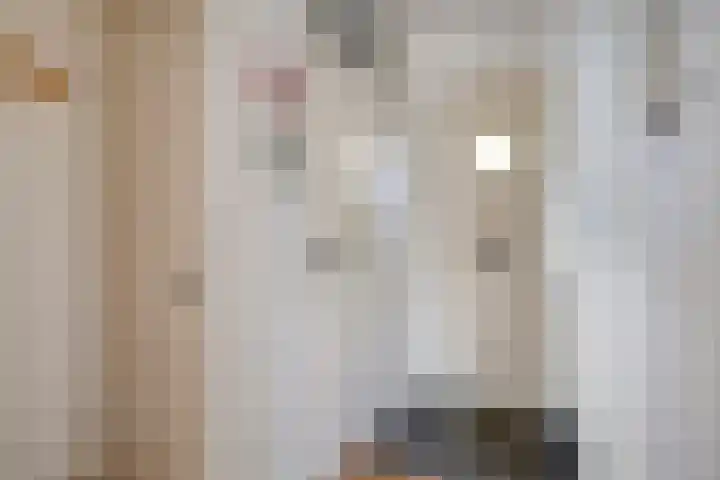 Salderes 61 Best thumbnail 4