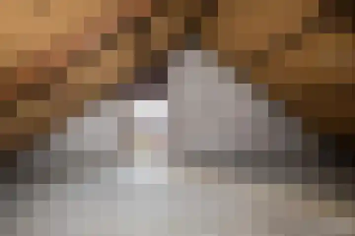 Salland 124 Assen thumbnail 12