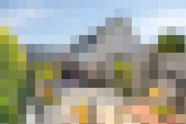 Salland 26 Purmerend thumbnail 21