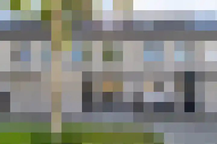 Salland 26 Purmerend thumbnail 26