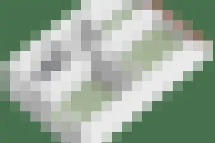 Salland 26 Purmerend thumbnail 36