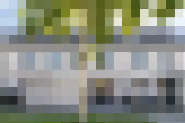 Salland 26 Purmerend thumbnail 37