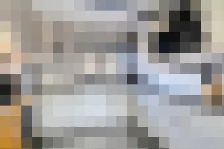 Salland 26 Purmerend thumbnail 4