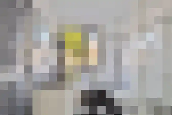 Salland 26 Purmerend thumbnail 5