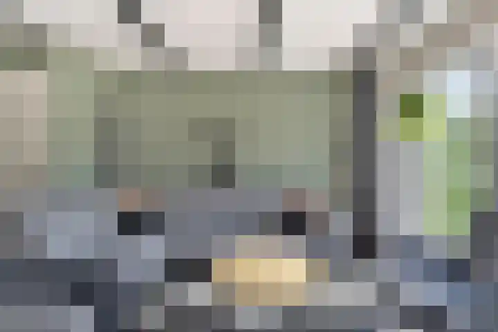 Salland 26 Purmerend thumbnail 8