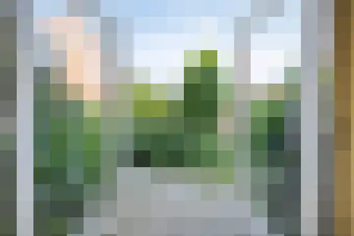Salland 3 Purmerend thumbnail 9