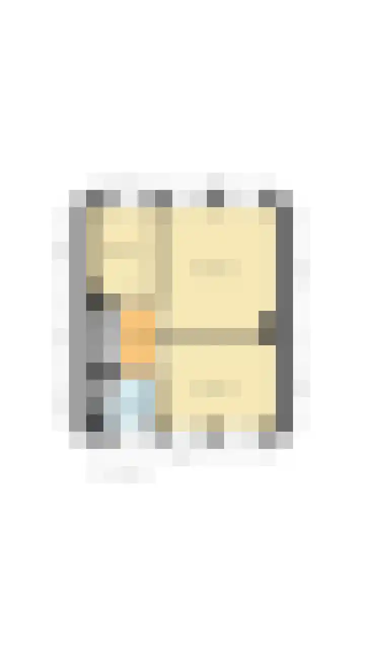 Salmstraat 26 Uden thumbnail 37