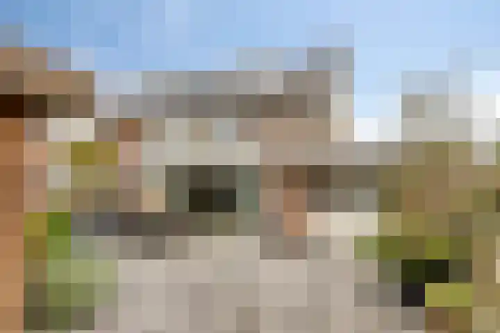 Salmstraat 9 Uden thumbnail 28