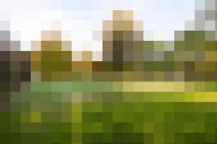 Saltholm 10 Hoofddorp thumbnail 27