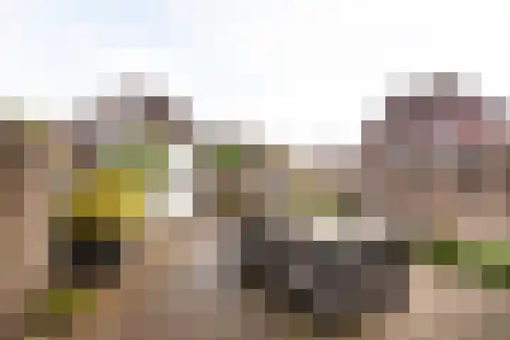 Saltholm 10 Hoofddorp thumbnail 6