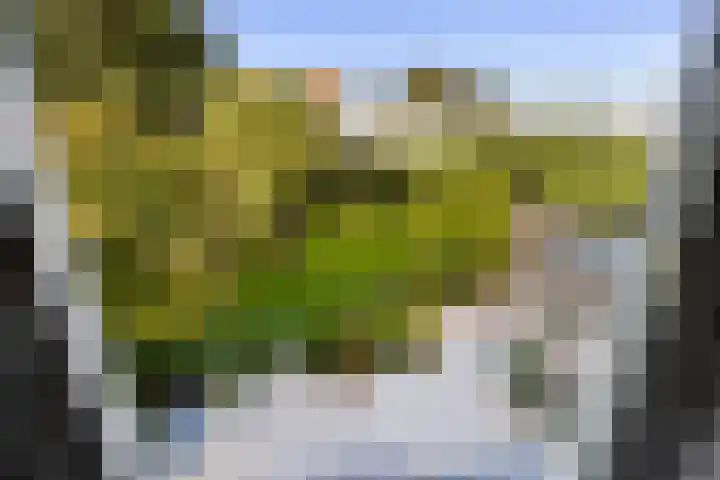 Saltshof 1243 Wijchen thumbnail 19