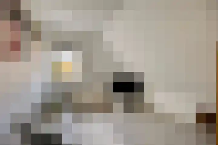 Saltshof 1243 Wijchen thumbnail 20