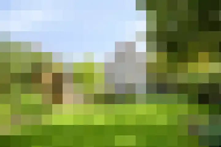 Saltshof 1243 Wijchen thumbnail 22