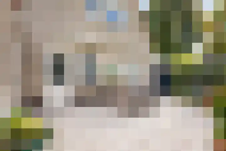 Saltshof 1243 Wijchen thumbnail 24