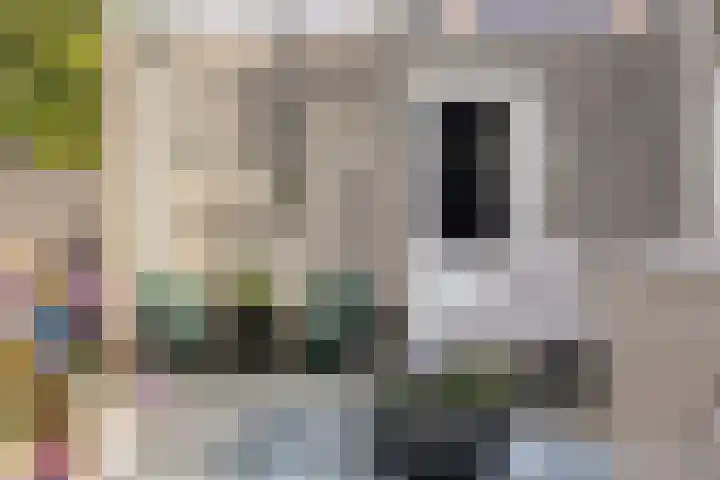 Saltshof 1243 Wijchen thumbnail 26