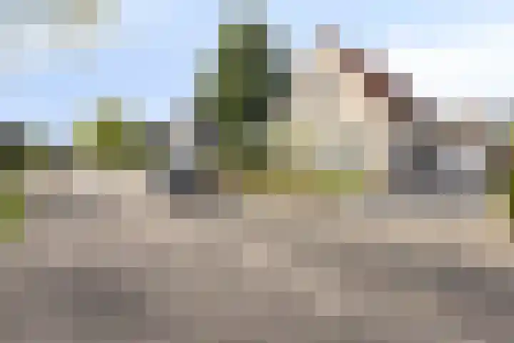 Saltshof 1243 Wijchen thumbnail 32