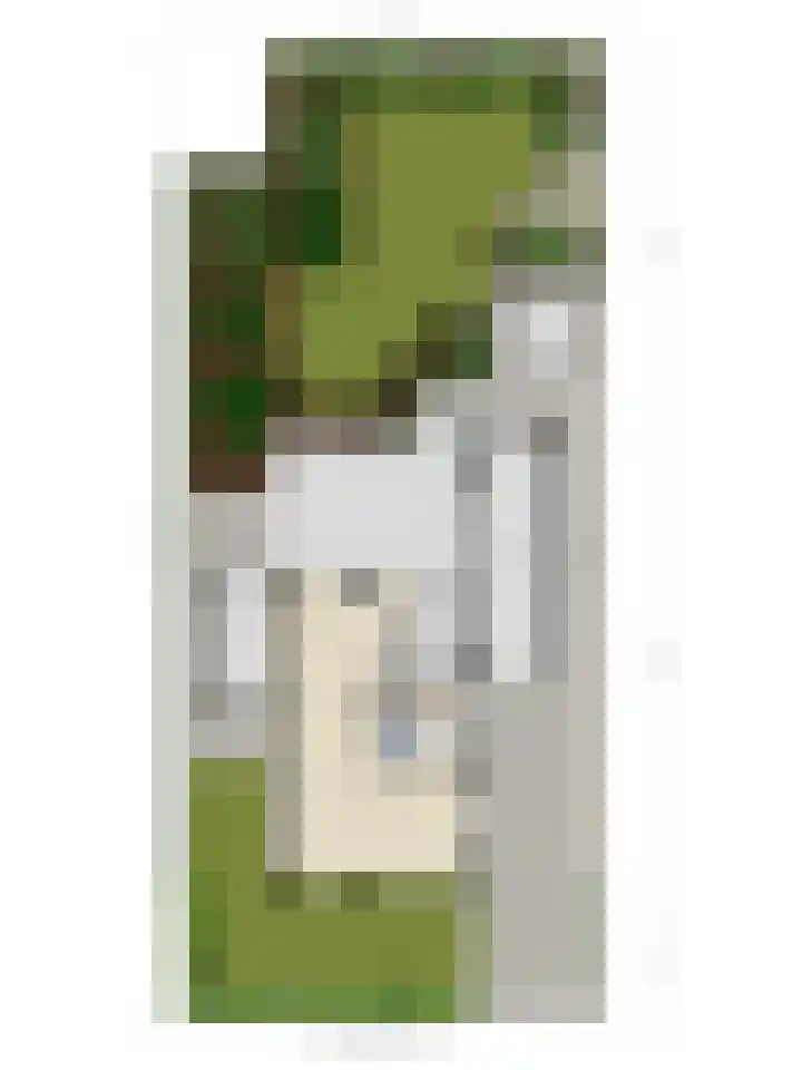 Saltshof 1243 Wijchen thumbnail 36