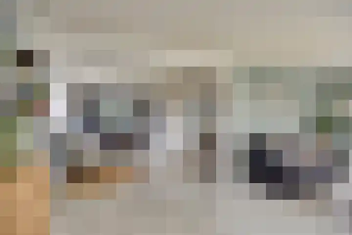 Saltshof 1243 Wijchen thumbnail 6