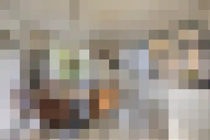 Saltshof 1243 Wijchen thumbnail 8