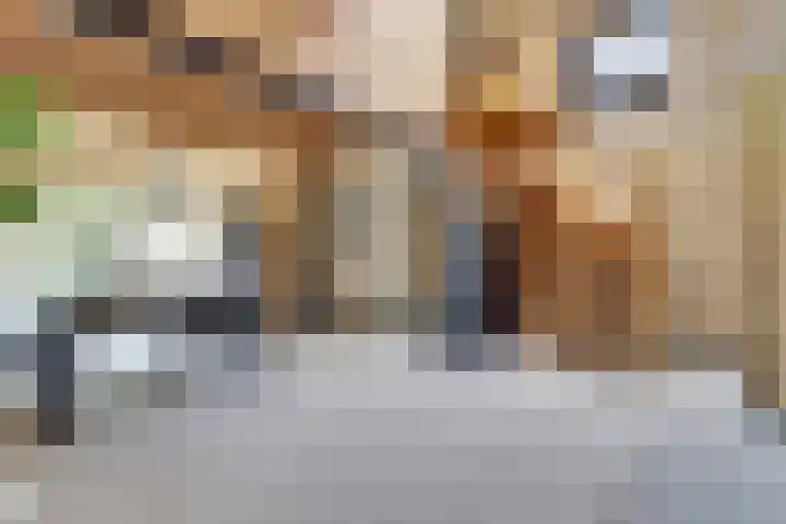 Saltshof 1522 Wijchen thumbnail 11
