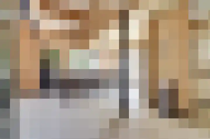 Saltshof 1522 Wijchen thumbnail 14