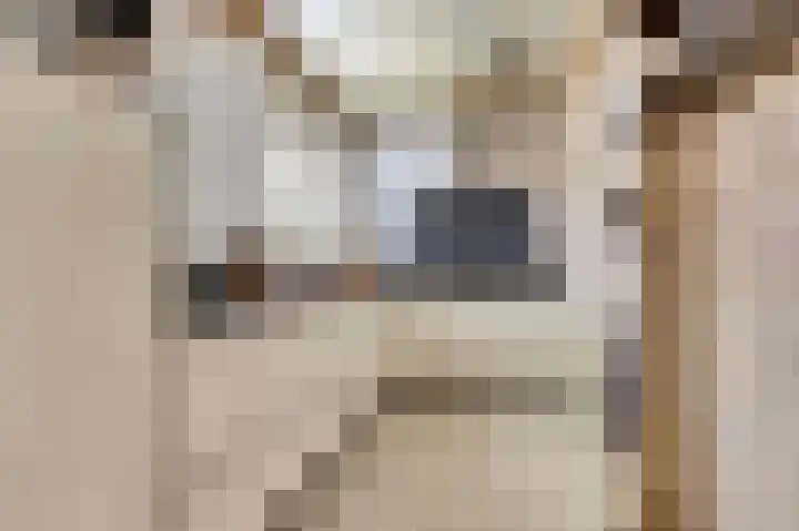Saltshof 1522 Wijchen thumbnail 16
