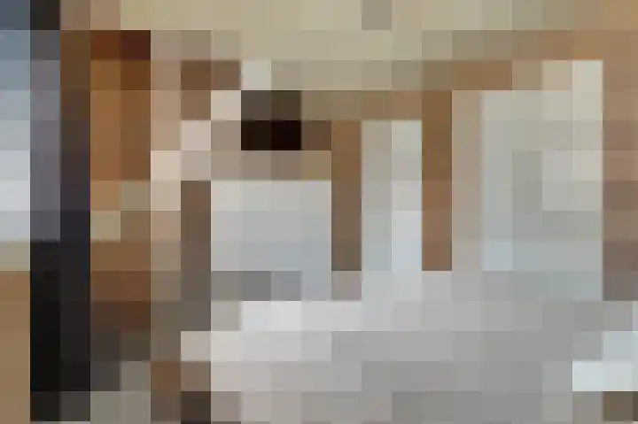 Saltshof 1522 Wijchen thumbnail 20