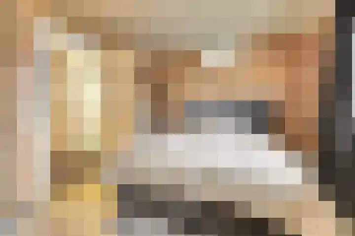 Saltshof 1522 Wijchen thumbnail 23