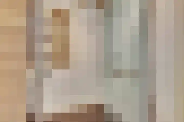 Saltshof 1522 Wijchen thumbnail 26