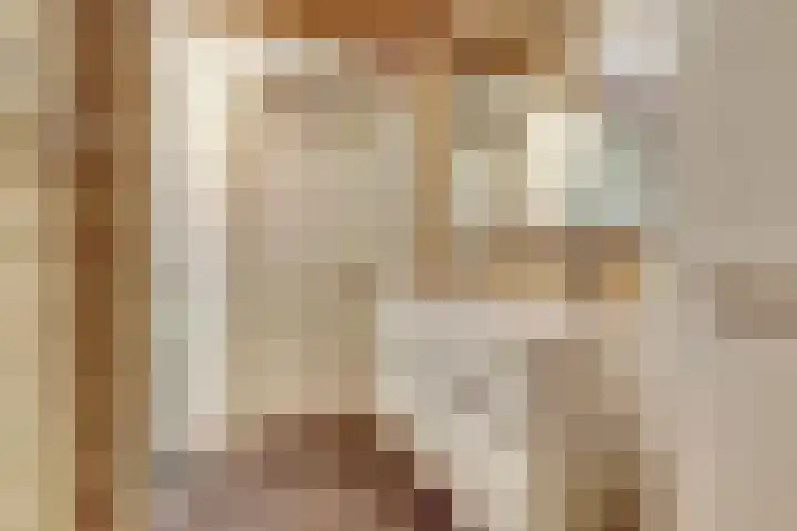 Saltshof 1522 Wijchen thumbnail 27