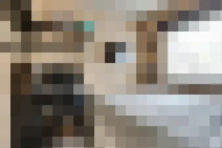 Saltshof 1522 Wijchen thumbnail 28