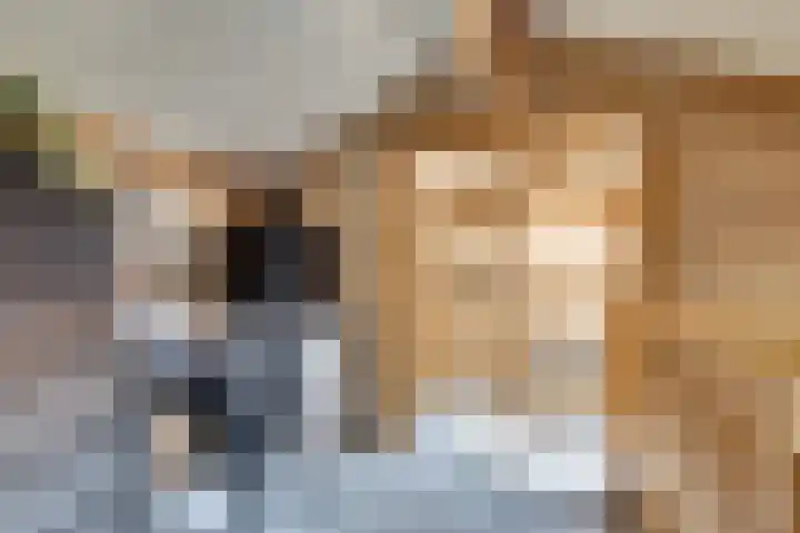 Saltshof 1522 Wijchen thumbnail 34