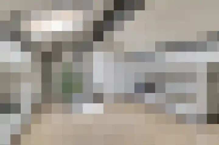 Saltshof 1522 Wijchen thumbnail 37