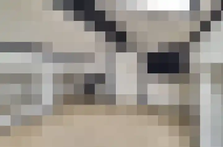 Saltshof 1522 Wijchen thumbnail 39
