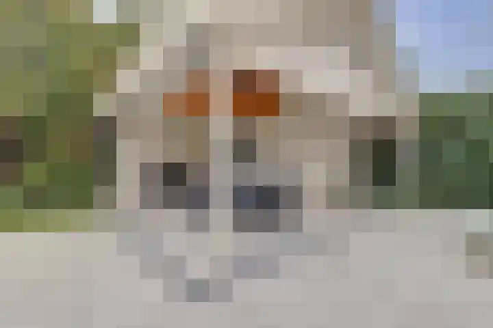 Saltshof 1522 Wijchen thumbnail 47