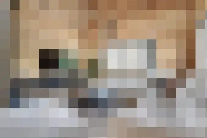 Saltshof 1522 Wijchen thumbnail 5