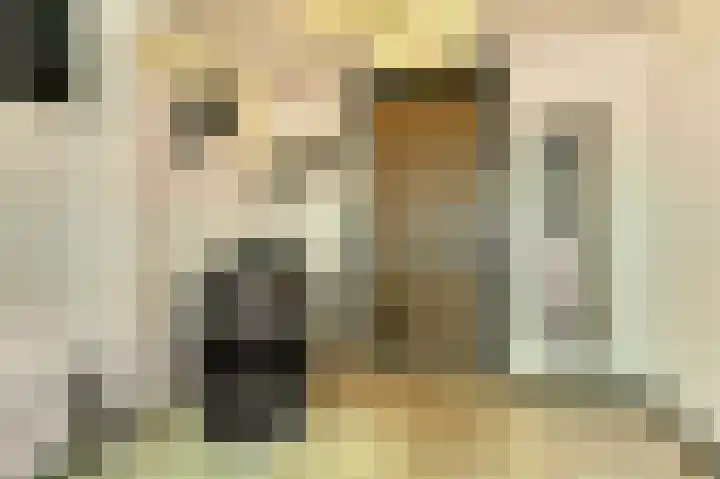 Saltshof 1522 Wijchen thumbnail 51