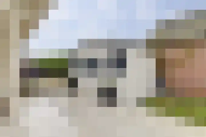 Saltshof 1522 Wijchen thumbnail 53