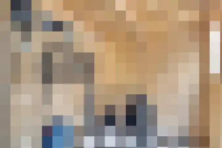 Saltshof 1522 Wijchen thumbnail 54