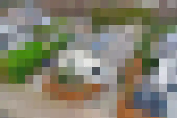 Saltshof 1522 Wijchen thumbnail 57