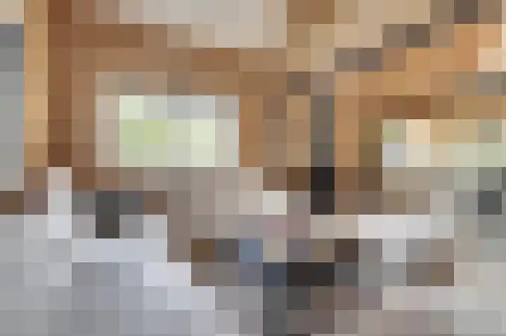 Saltshof 1522 Wijchen thumbnail 6