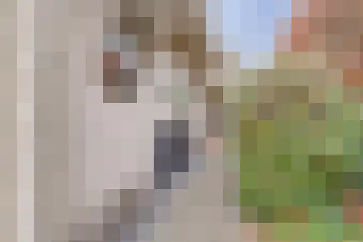 Saltshof 1522 Wijchen thumbnail 60