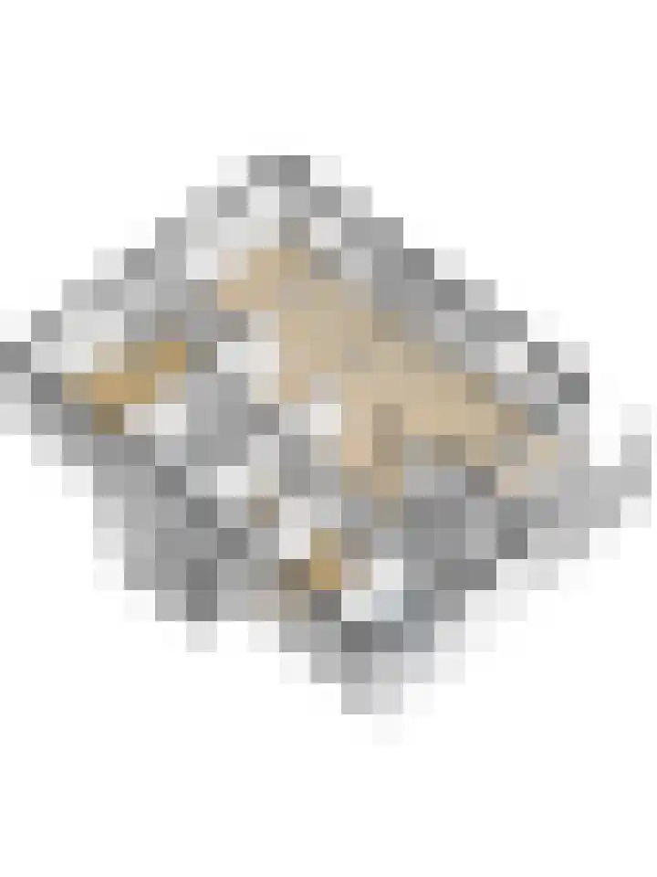 Saltshof 1522 Wijchen thumbnail 65