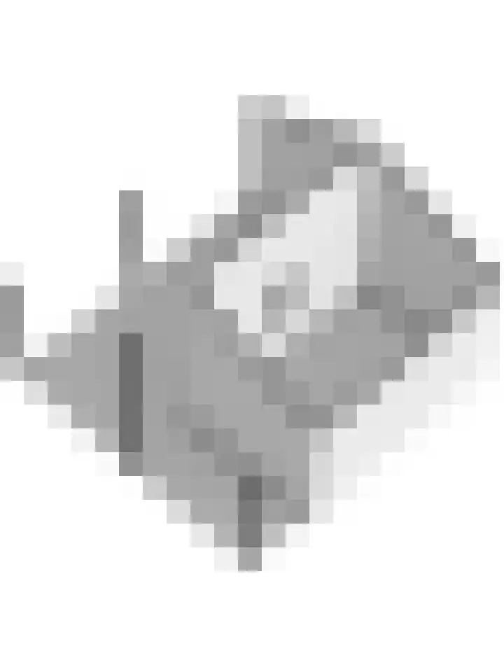 Saltshof 1522 Wijchen thumbnail 69