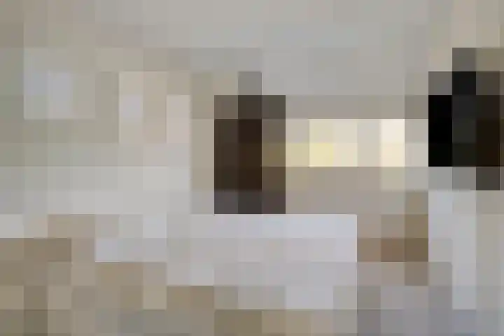 Saltshof 2808 Wijchen thumbnail 16