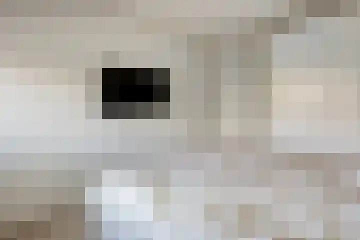 Saltshof 2808 Wijchen thumbnail 17