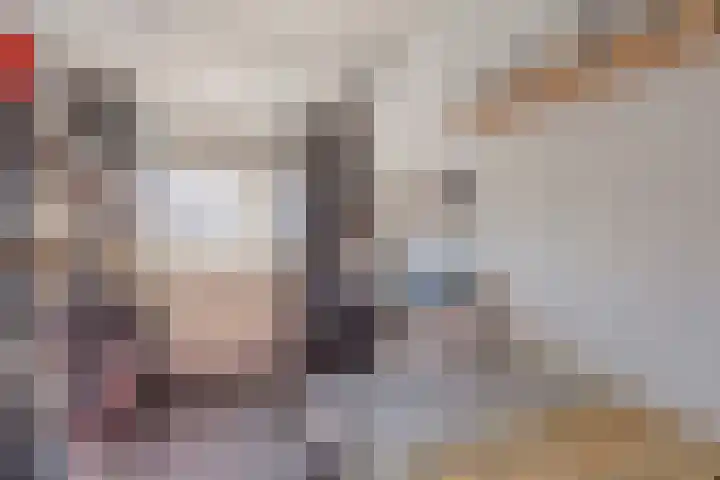 Saltshof 2808 Wijchen thumbnail 21